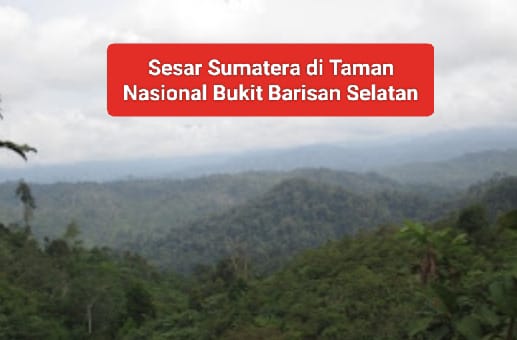 Gempa Bumi Semakin Sering, BMKG Ingatkan Ancaman Sesar Sumatera, Daerah Ini Paling Rawan