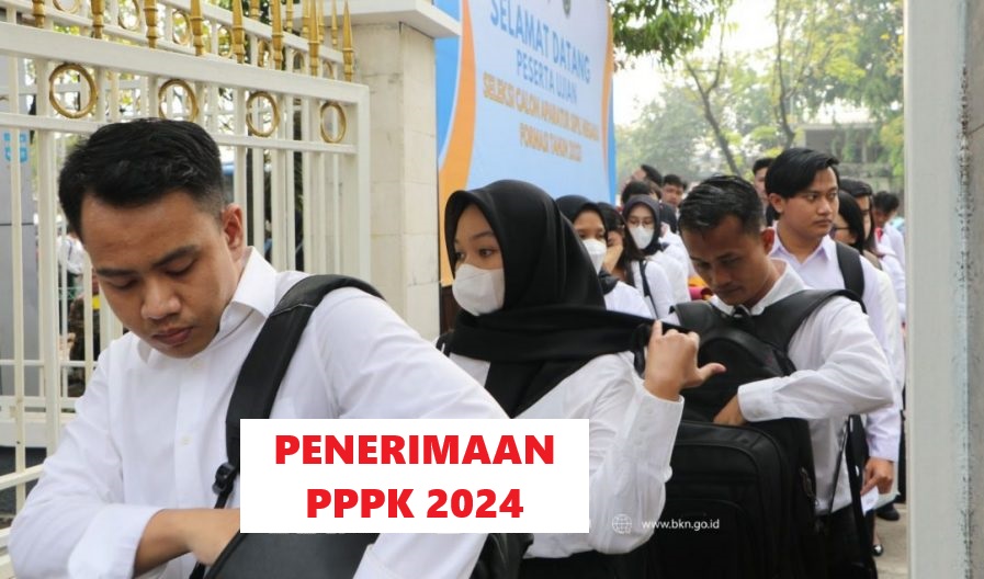 INI, Cara Daftar PPPK 2024 di sscasn.bkn.go.id, Terperinci!!!