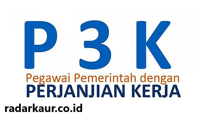 Peserta Tes PPPK 2024 Tahap 1 Kabupaten Kaur Deg-degan, BKD PSDM Belum Umumkan Hasil 