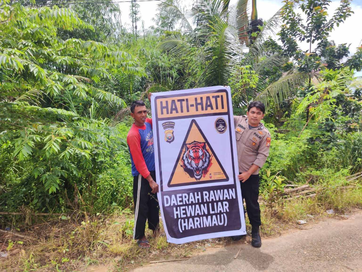 Warga Kabupaten Kaur Diimbau Waspada Harimau di Perbatasan Bengkulu–Sumsel