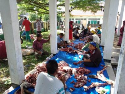 Pemda Kaur Salur 750 Kantong Daging Kurban