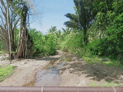 Badan Sungai Mengecil, Rawan Terjadi Banjir