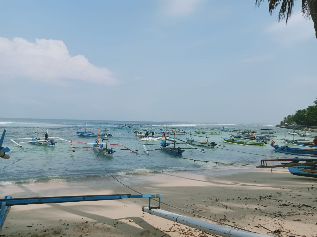 Harga Ikan Segar Melonjak