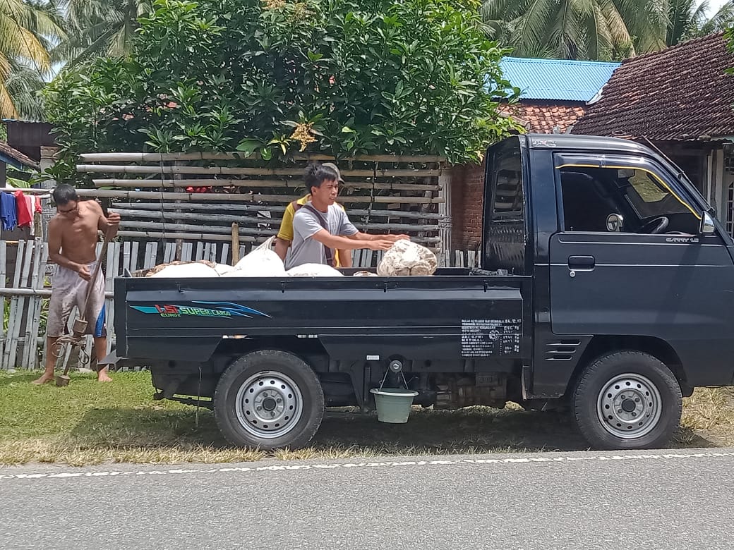 Harga Naik, Karet Sulit Bergetah