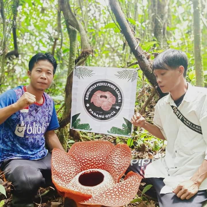 Manau Sembilan Destinasi Wisata Alam Habitat Bunga Rafflesia