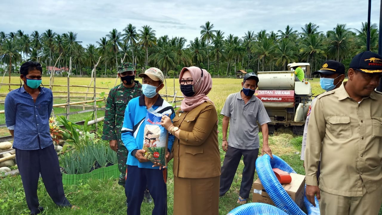 Panen Raya, Penyerahan Bibit dan Alsintan