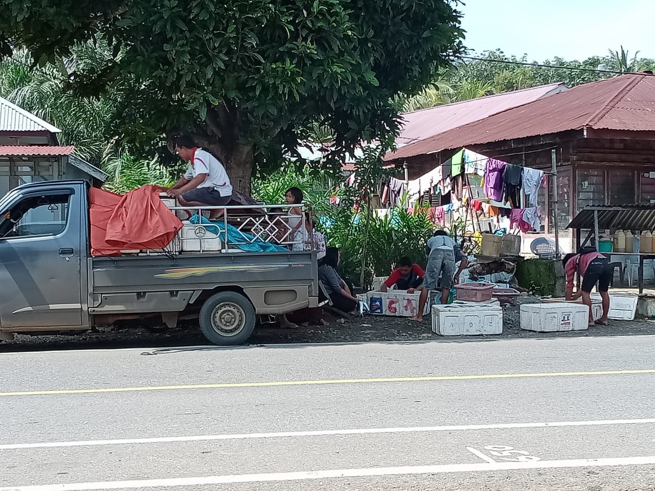 Laut Ganas, Pedagang Suplai Ikan Beku