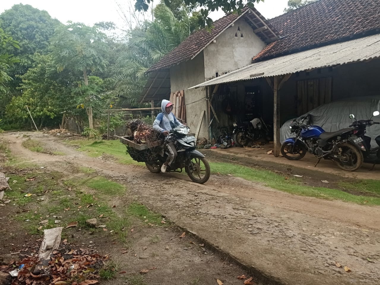 Akhir Tahun, Angin Segar Petani Sawit