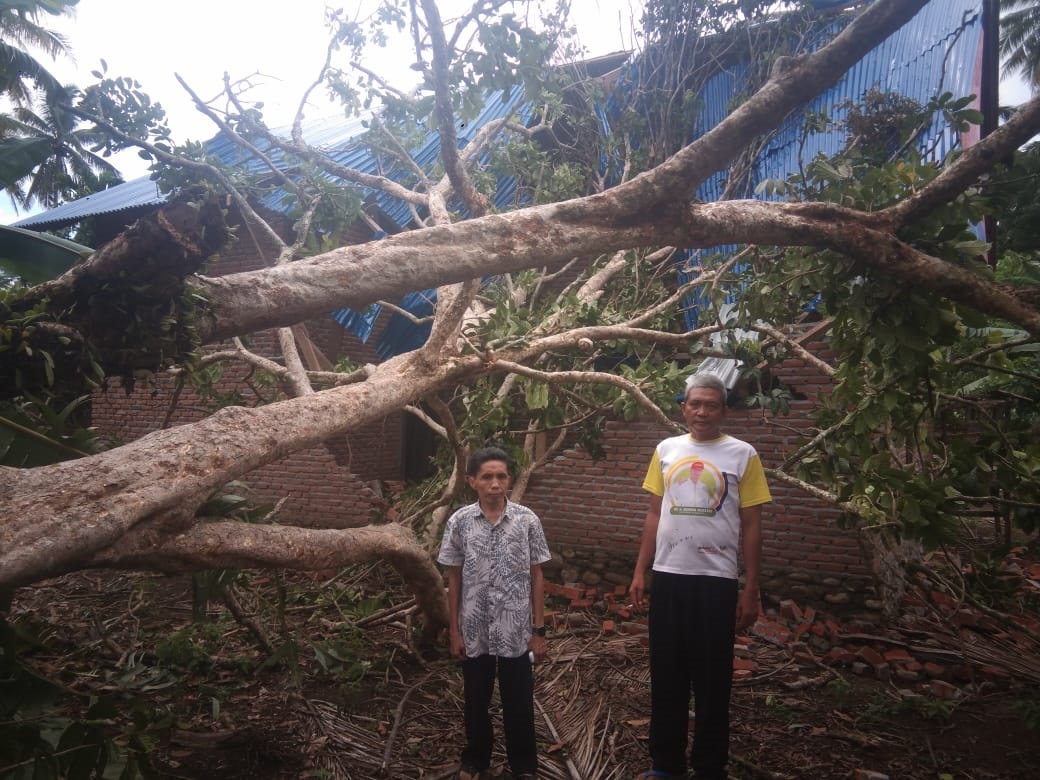 Badai, Gedung TK dan Rumah Ditimpah Pohon