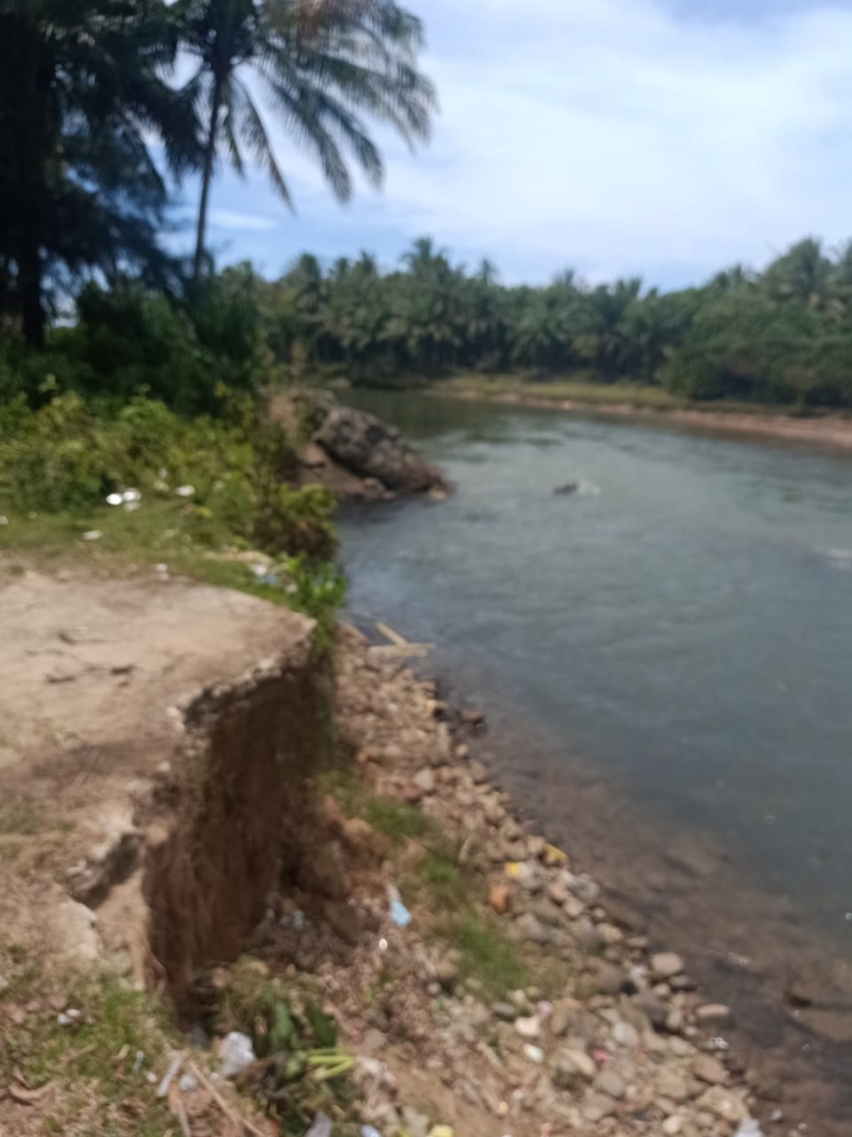 Abrasi Sungai Nasal Ancam Pemukiman