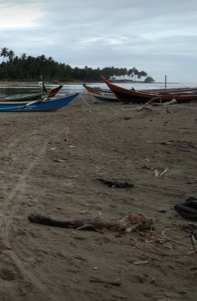 Potensi Penghasilan Nelayan Sedang Tinggi, Cuaca Buruk