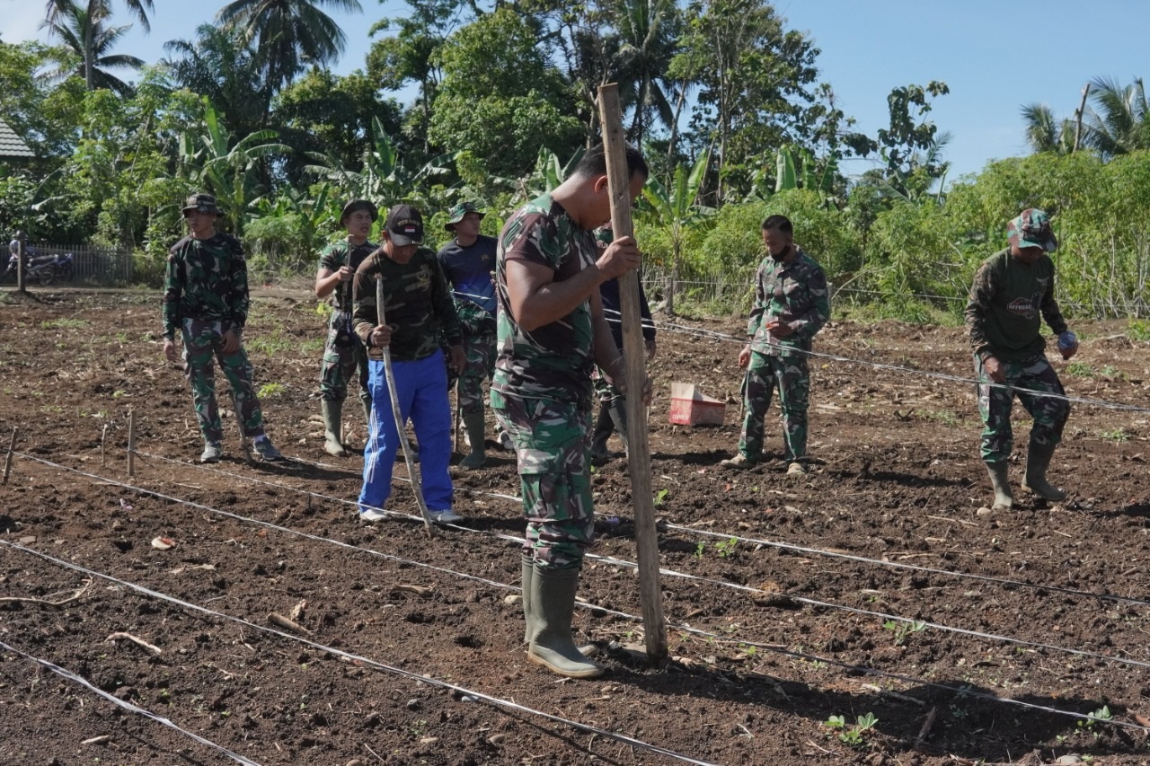 Ketahanan Pangan, Koramil Tanam Jagung