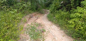 Jalan Penghubung Antar Kecamatan Hancur