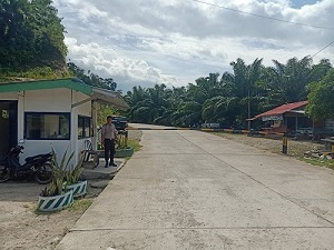 Horee! Petani Bisa Jual Sawit Langsung ke Pabrik