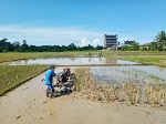 Pergantian Musim, Petani Garap Sawah