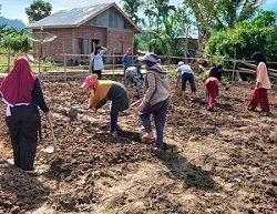 Jadi Binaan Kabupaten, PKK Musa Olah Lahan Tidur