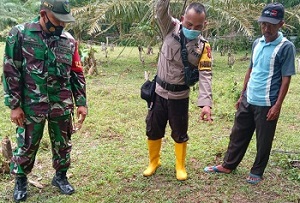 Polisi Selidiki Sebab Sapi Cakades Mati Diracun