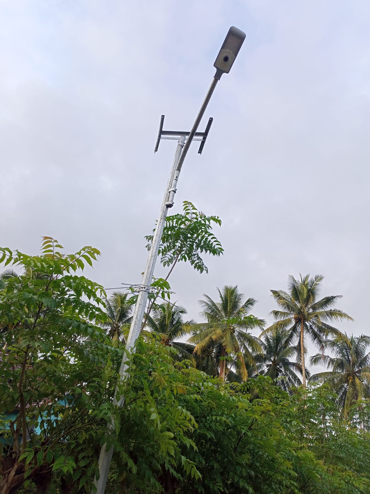 Ibarat Tantang Aparat, Pemetik Solar Cell Bebas