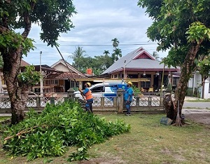 Petugas PLN Pangkas Tanam Tumbuh