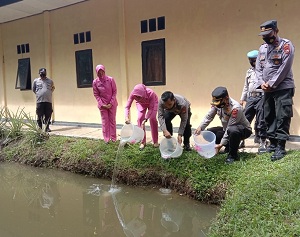 Kapolres dan Ketua Bhayangkari Kaur Tebar Benih Lele