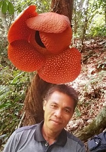 Dalam Kebun Warga, Bunga Raflesia Terancam Punah