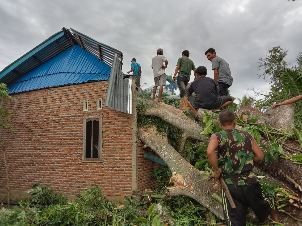 Pohon Kapuk Timpa Rumah, Rusak Parah