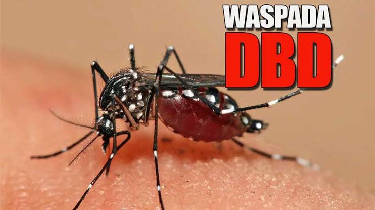 Waspada DBD, Optimal Pencegahan