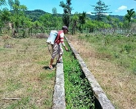 Irigasi Belum Diperbaiki, Sawah Andalkan Hujan