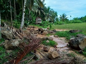 Petani Ditipu, Jalan Tambak Berkedok Program Pemda