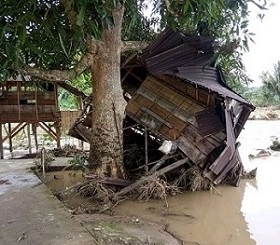 Puluhan Hektar Kebun Terendam, Petani Luas Rugi Ratusan Juta