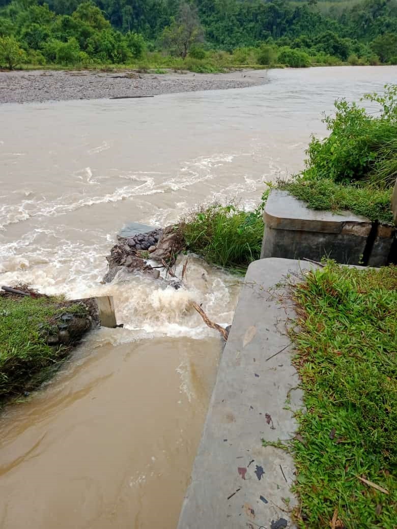 Saluran Irigasi Jebol,  200 Ha Sawah Lumpuh