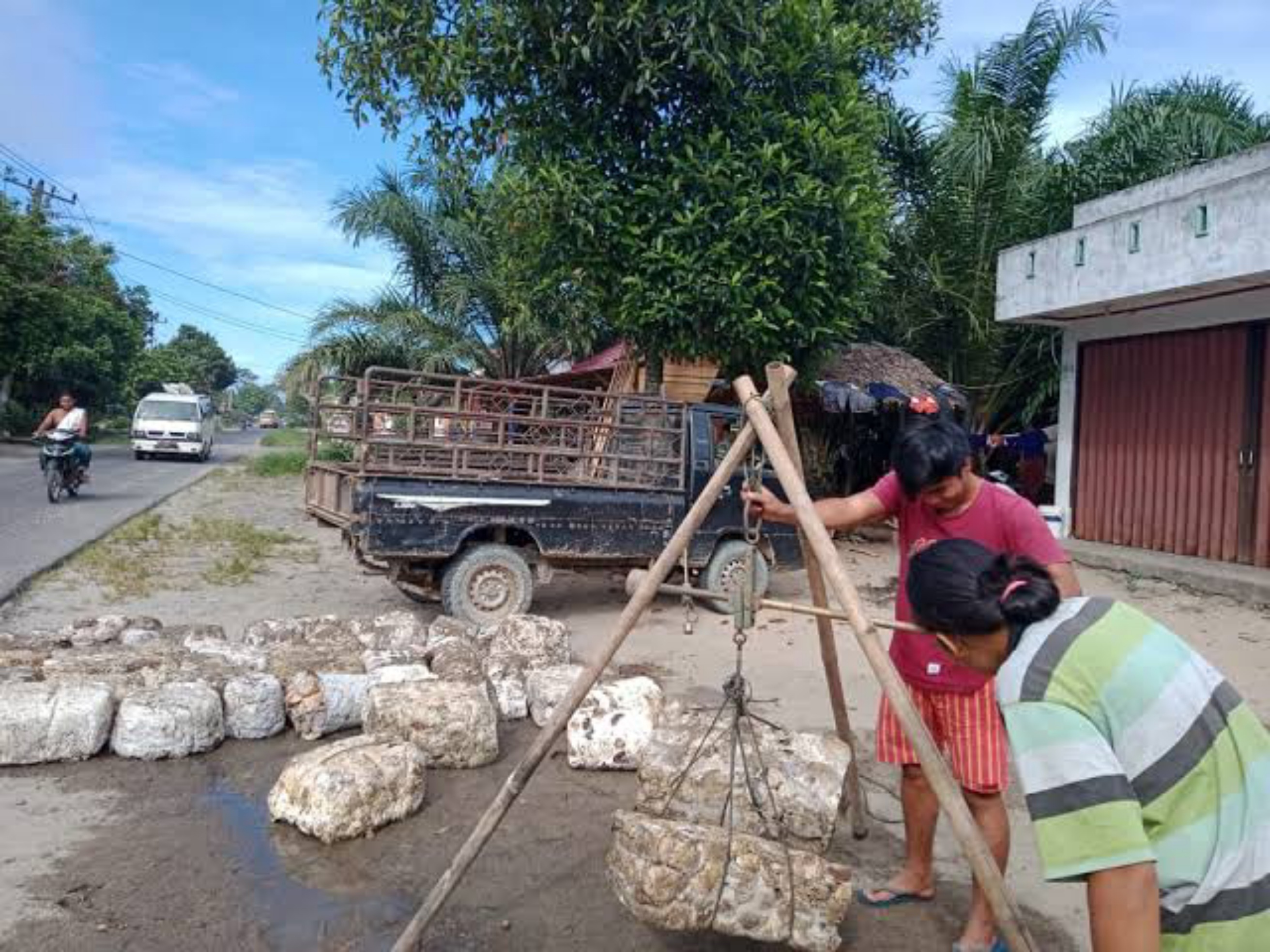 Harga Karet Mulai Turun