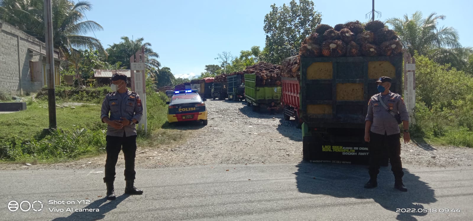 Antrian Truk TBS di Pabrik Sawit PT APLS Capai 1 Km