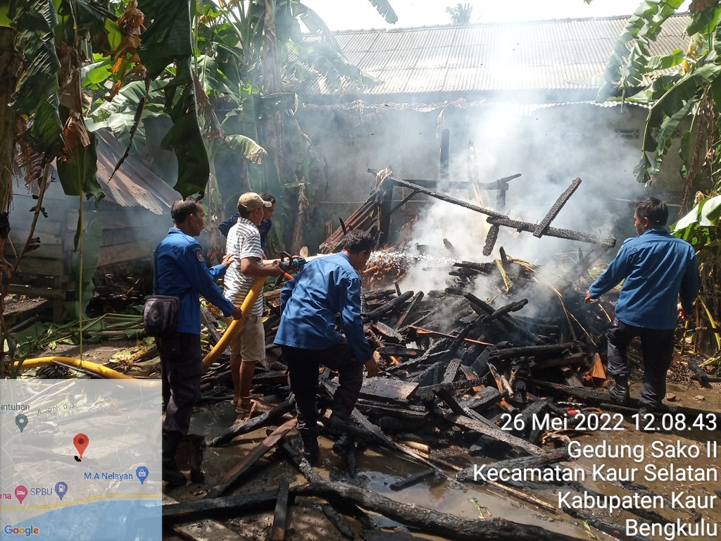 Niat Ambil Madu, Kontrakan Puluhan Pintu Hampir Hangus