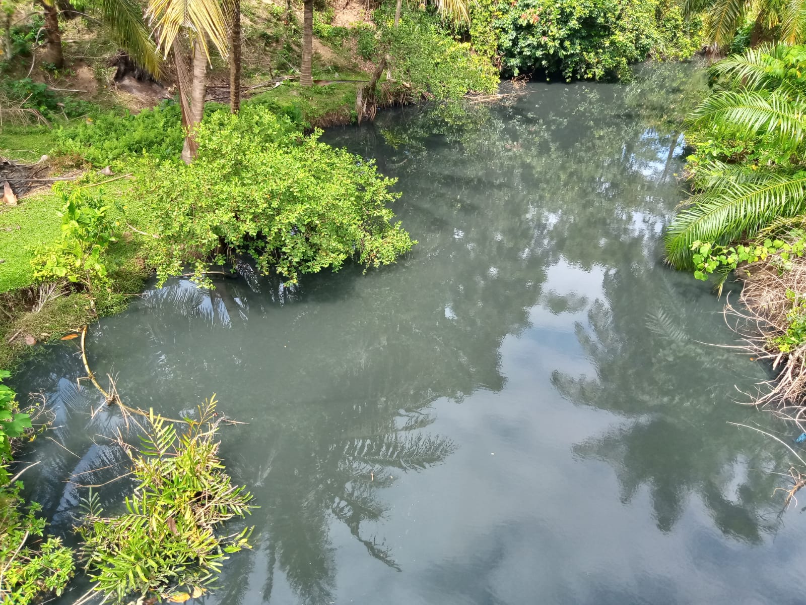 Humas PT DPPP: Sungai Wayhawang Berwarna Hitam Akibat Perubahan Cuaca, Sama Seperti Sungai Linau