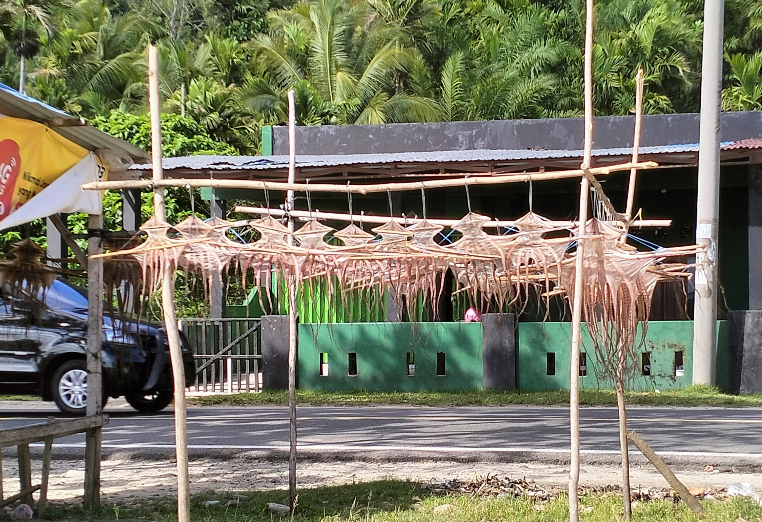 Ketersediaan Gurita Jelang Festival Sate Gurita