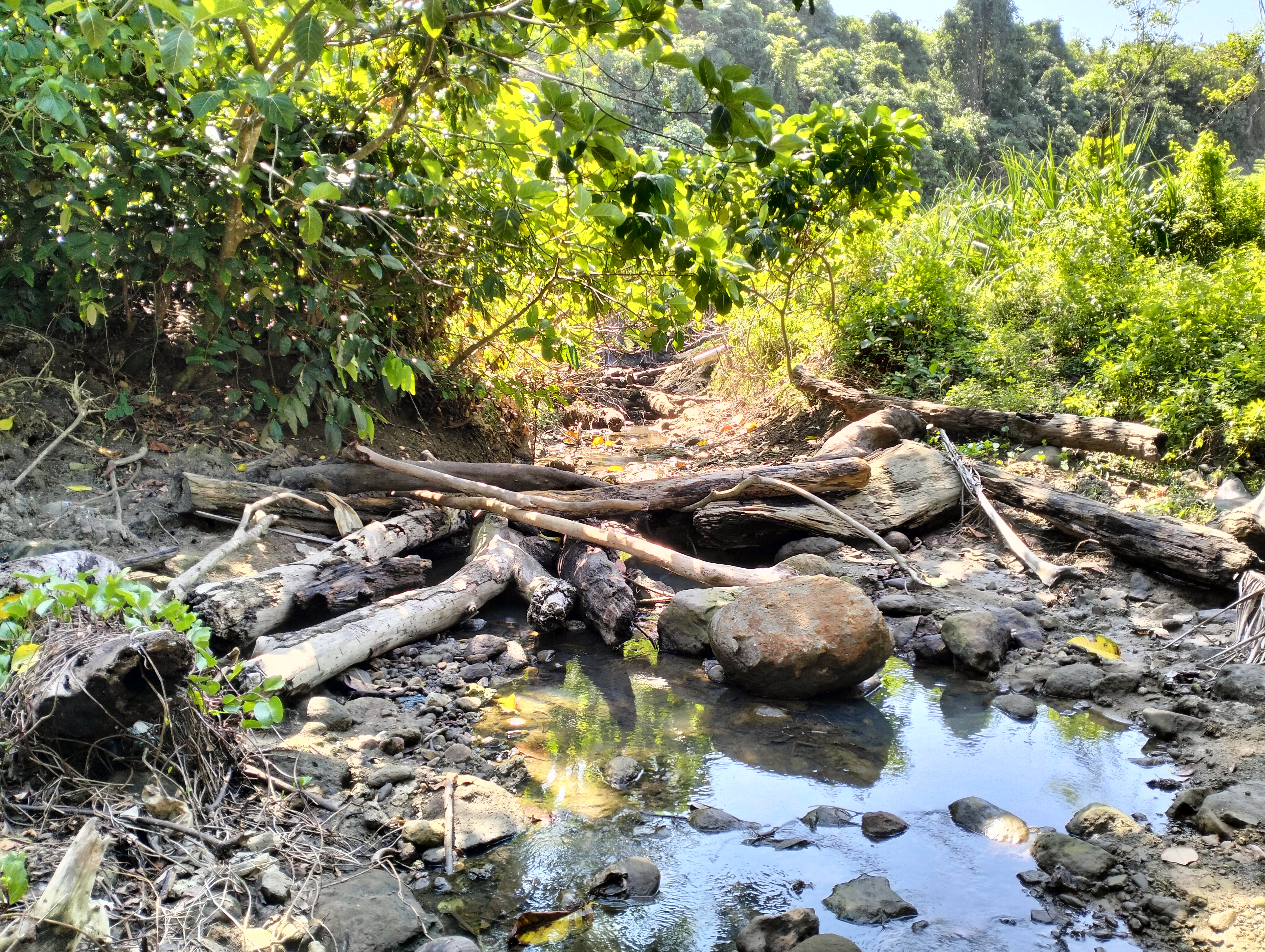 PT SAP Akui Buang Limbah Kolam ke Laut Sudah Izin Kades