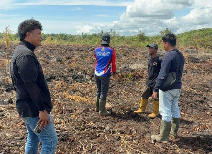 Niat Basmi Sarang Tawon, Lahan Kebun 3 Hektare justru Terbakar, Berurusan Dengan Polisi