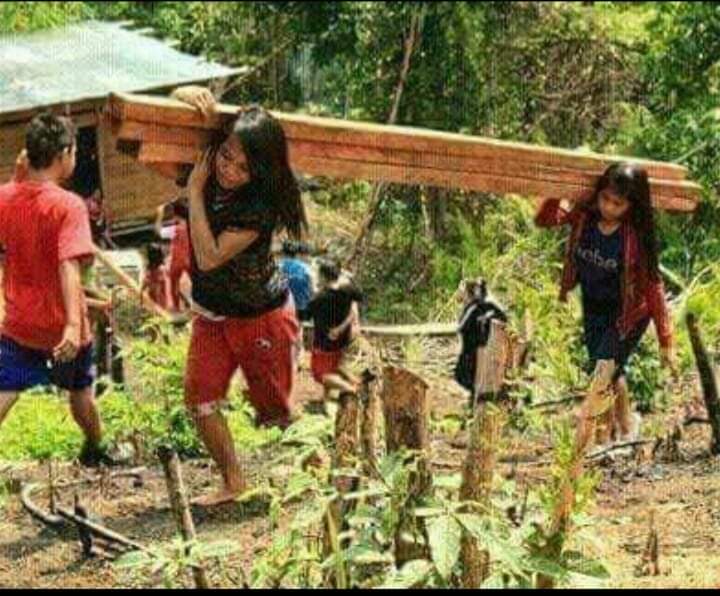 Suku Tiga, Desa Ini Dihuni oleh Masyarakat dari 3 Suku Besar di Indonesia, Nenek Moyangnya Para Pekerja Keras