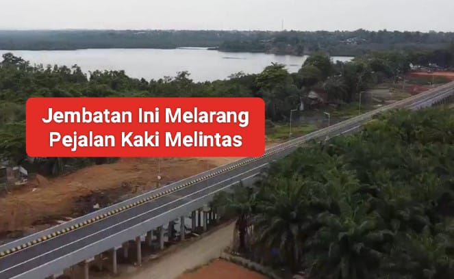 Melintasi Cagar Alam dan Habiskan APBD Bengkulu Rp60 Miliar, Jembatan Ini Justru Melarang Pejalan Kaki 