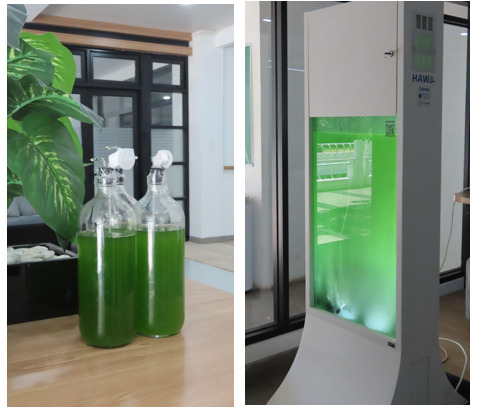 Greenlabs Perkenalkan G-Algae Sebagai Solusi Penangkapan Karbondioksida dan Sumber Biomassa