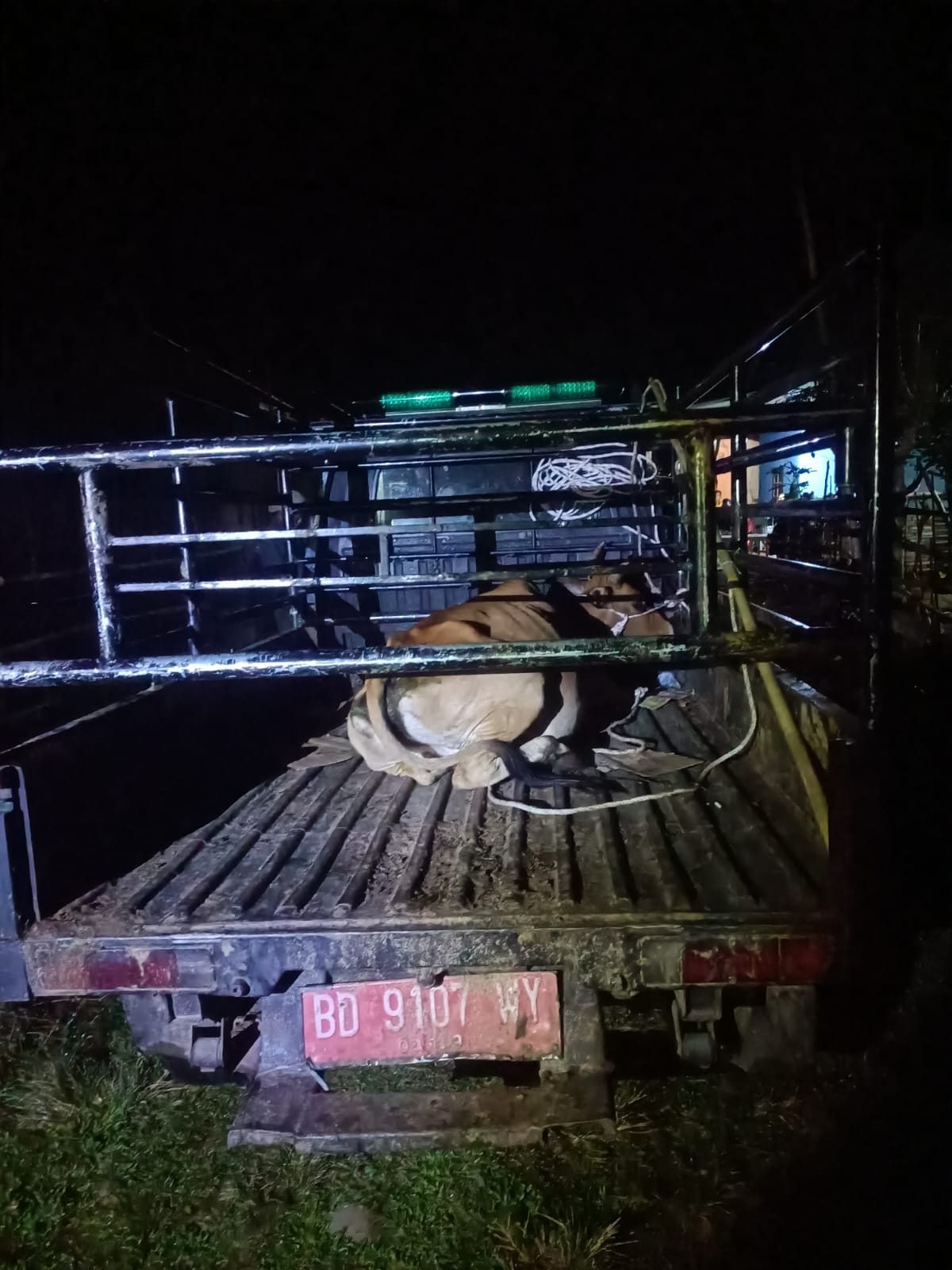 Satgas Perugaian, Satu-satunya Satgas Desa Melaksanakan Penertiban Ternak Liar Mandiri 