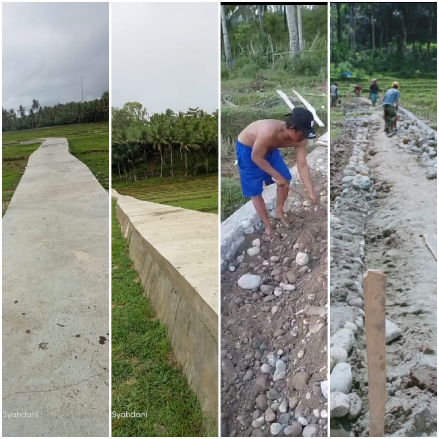 Perkuat Ketahanan Pangan, Pemdes Masria Baru Bangun Jalan Usaha Tani Talut dan Rabat Beton