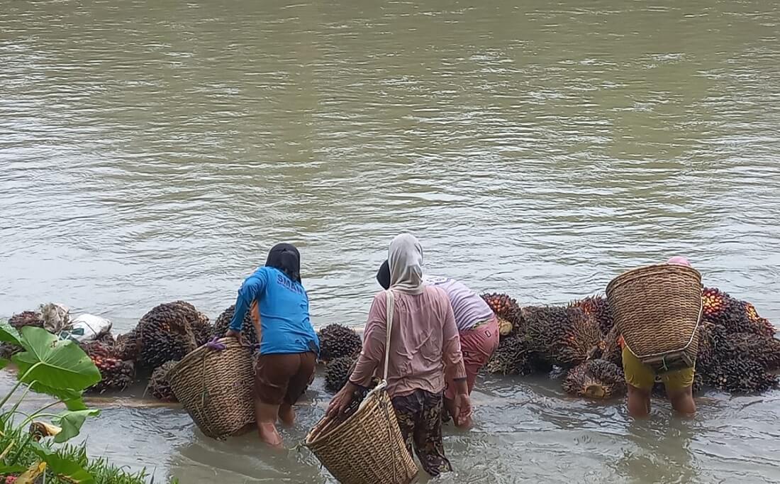 Demi Keluarga, IRT Jadi Kuli Angkut TBS