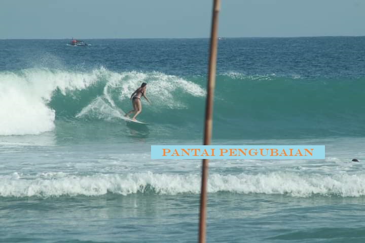 Olahraga Selancar Semakin Digemari, 5 Pantai di Kaur Bengkulu Miliki Ombak Terbaik