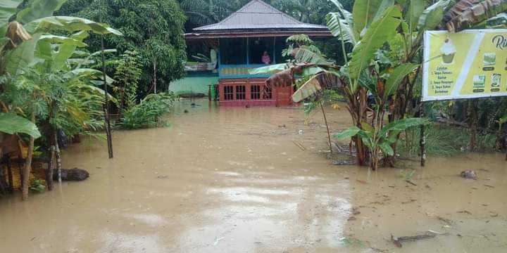 Bengkulu Selatan Dikepung Banjir, Longsor, Pohon Tumbang Hingga Tiang Listrik Roboh