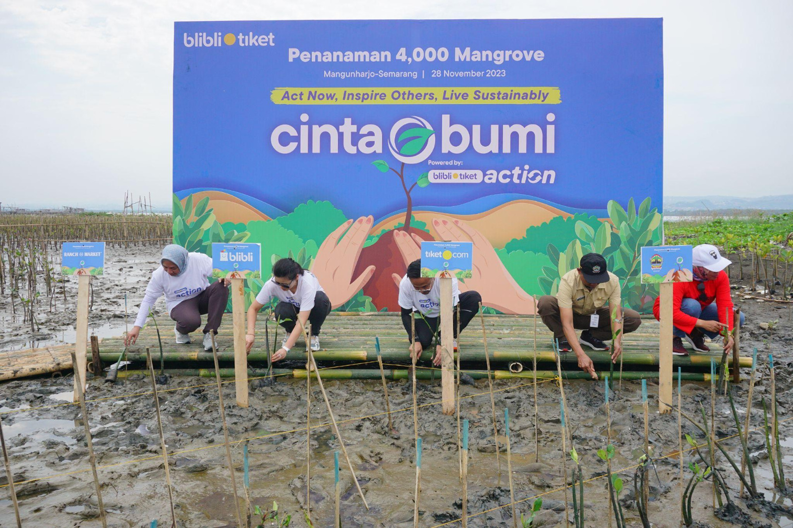 Blibli Tiket dan LindungiHutan Berhasil Menanam 4.000 Mangrove di Mangunharjo Semarang