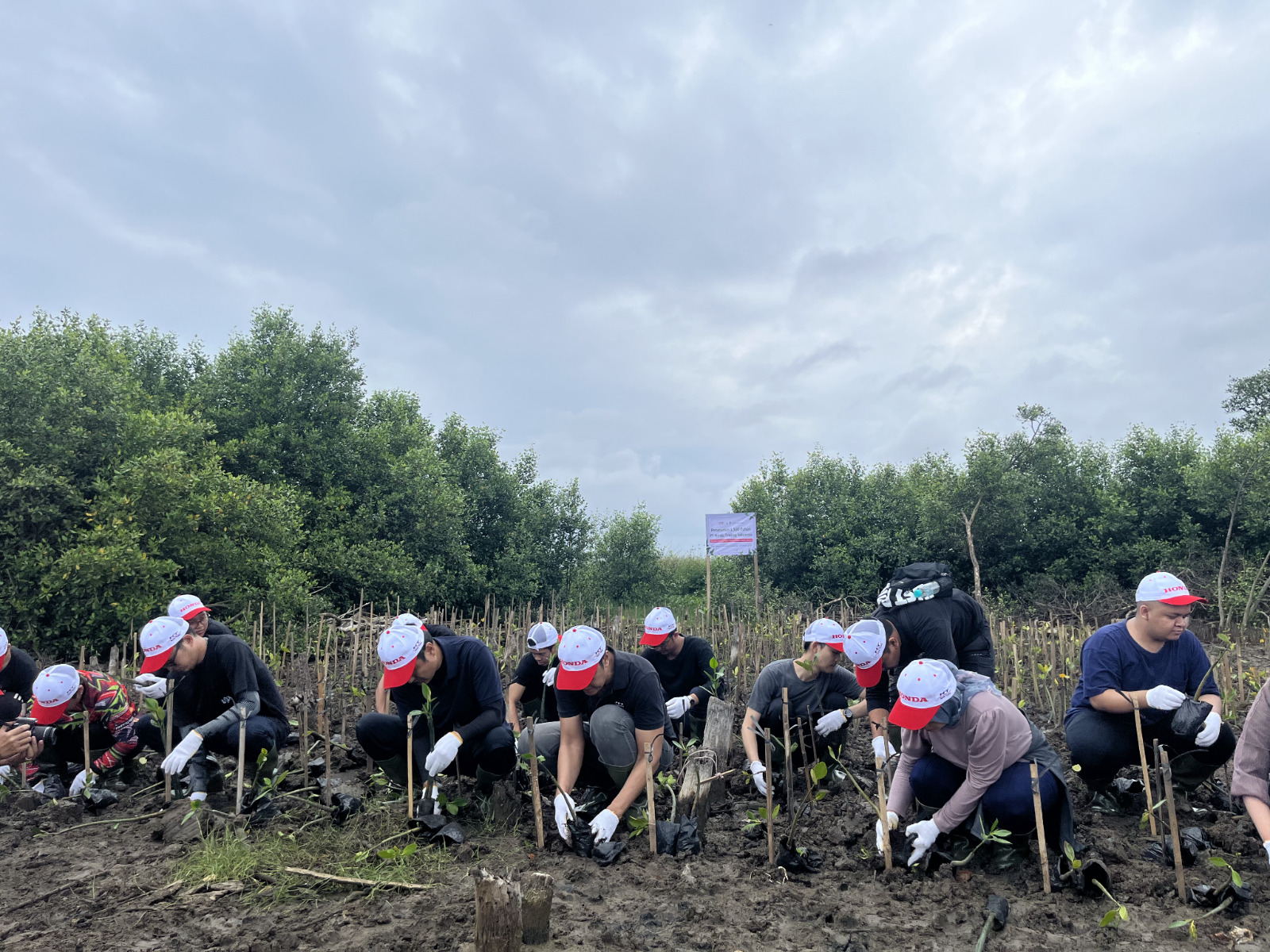 PT Honda Trading Indonesia lakukan CSR dengan penanaman 1.500 mangrove di Tangerang