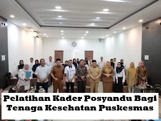 Dinkes Kabupaten Kaur dan Dinkes Provinsi Bengkulu Kerjasama Gelar Pelatihan Kader Posyandu Tenaga Kesehatan