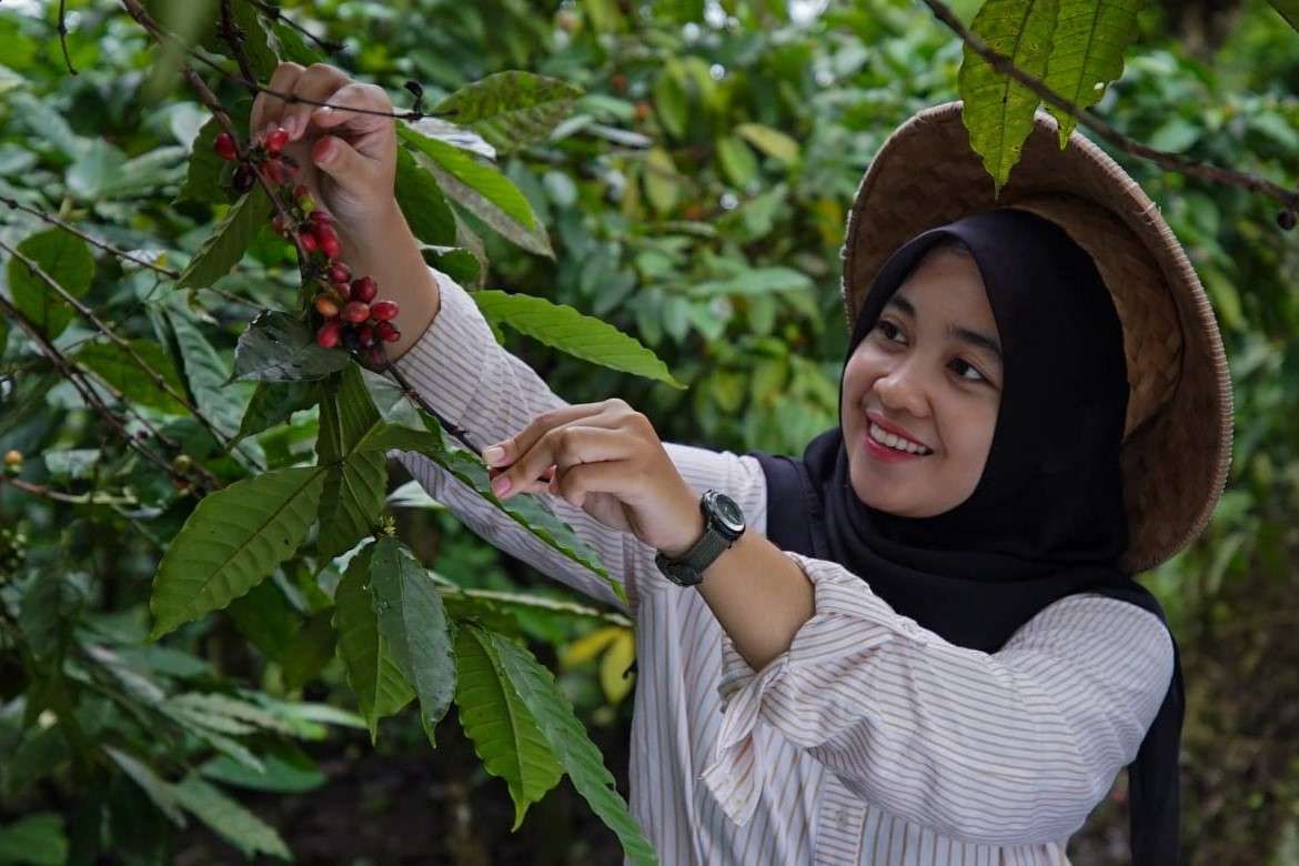 Mutigh Kawe (O): Dari Bengkulu, Membangun Narasi Kopi Islam – Sumatera